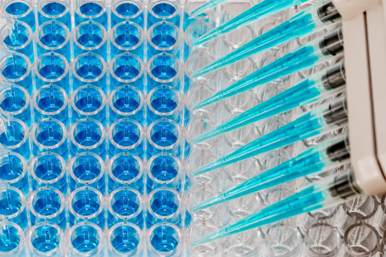 Enzymatic tests Elysia Bioscience