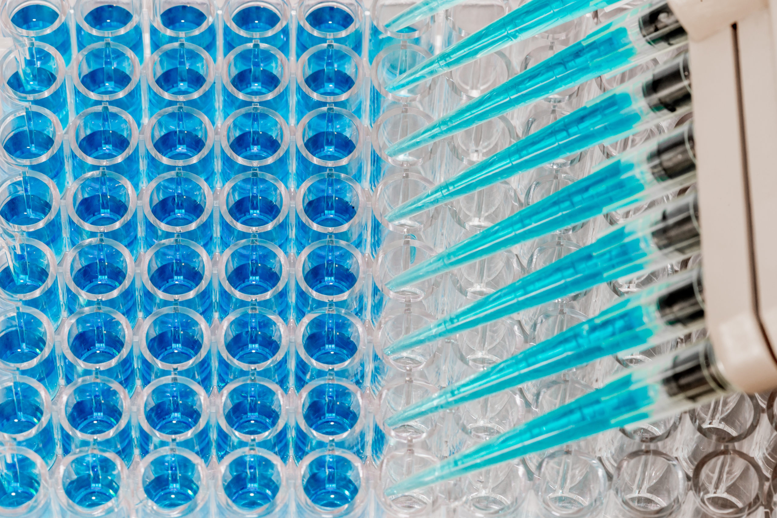 tests-enzymatiques-elysia-bioscience