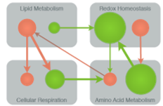 analyse protéomique simplifiée